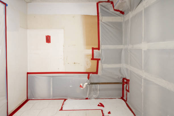Best HVAC Mold Inspection and Cleaning  in Thomasville, GA