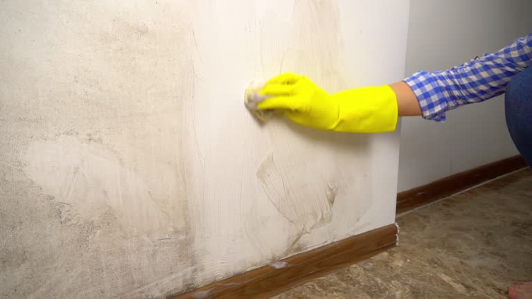 Best Emergency Mold Remediation  in Thomasville, GA