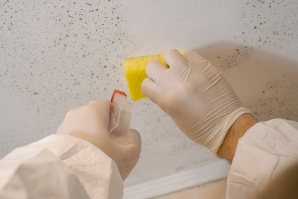 Best Mold Documentation for Insurance Claims  in Thomasville, GA
