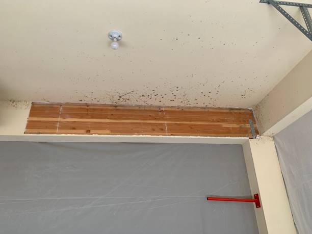 Best Air Quality Testing for Mold Spores  in Thomasville, GA