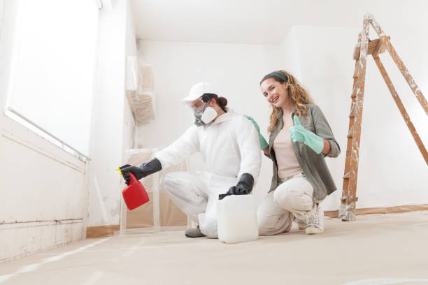Best Mold Damage Restoration  in Thomasville, GA
