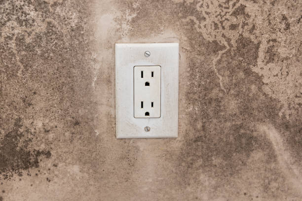 Best Forensic Mold Investigation  in Thomasville, GA